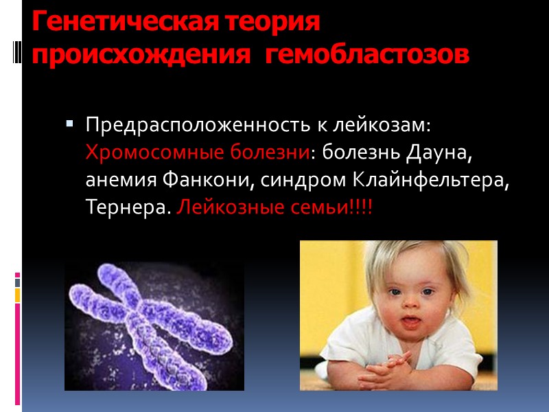 Генетическая теория происхождения  гемобластозов Предрасположенность к лейкозам: Хромосомные болезни: болезнь Дауна, анемия Фанкони,